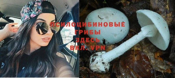 гашик Алзамай