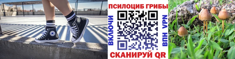 Псилоцибиновые грибы Psilocybine cubensis  как найти наркотики  Нерехта 
